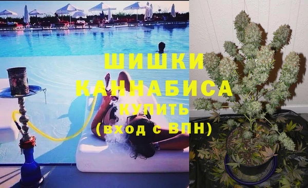 амф Каменногорск