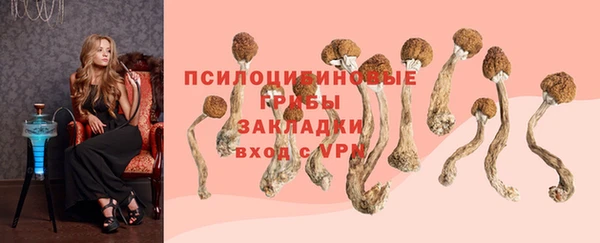 синтетический гашиш Каменка
