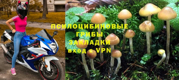 стафф Каменск-Шахтинский
