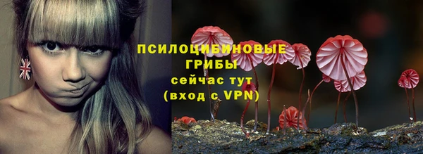 стафф Каменск-Шахтинский